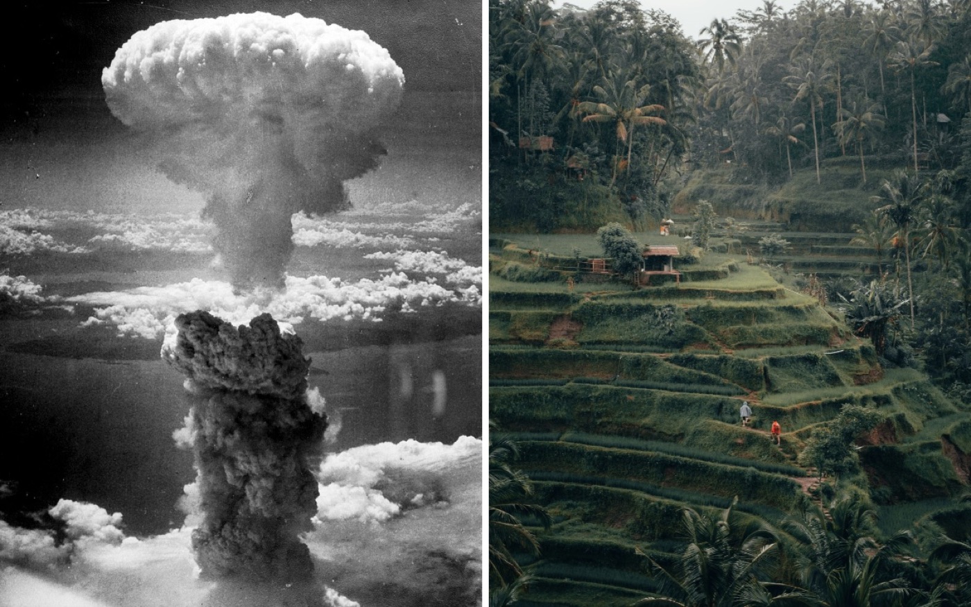 Left: mushroom cloud over Nagasaki, 1945. Right: rice terraces in Bali