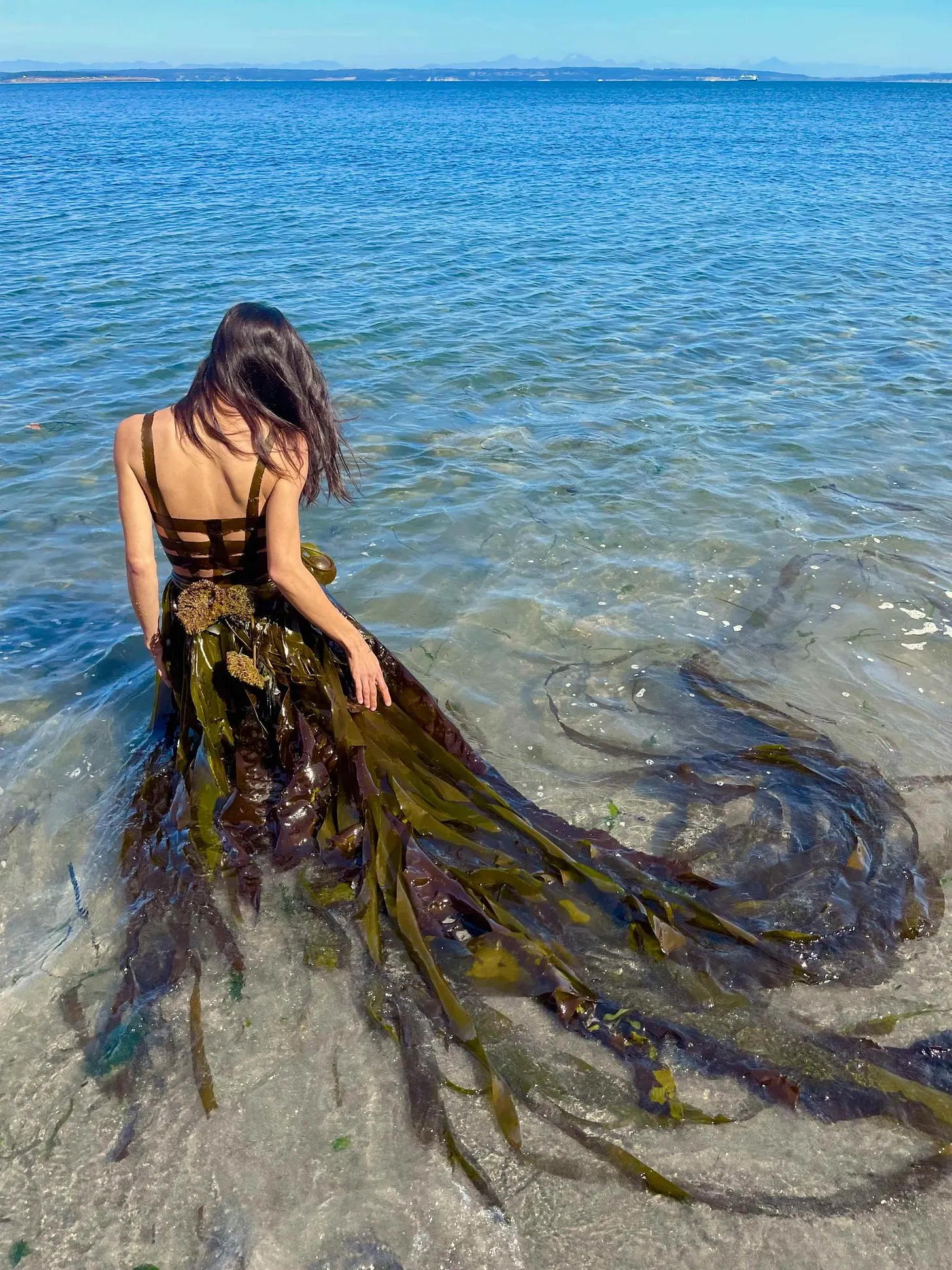 Art by Jeanne Simmons: Extensions (2020); Lace Skirt (2019); Grass Cocoon (2018); Katrina (2021) (clockwise starting from top-left). Published in Kosmos Vol. 25, Issue 4.