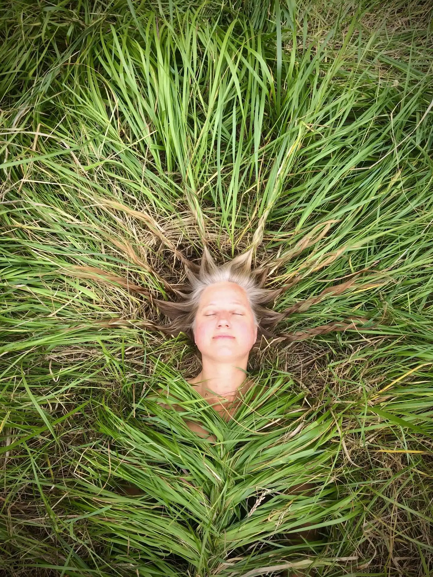 Art by Jeanne Simmons: Extensions (2020); Lace Skirt (2019); Grass Cocoon (2018); Katrina (2021) (clockwise starting from top-left). Published in Kosmos Vol. 25, Issue 4.