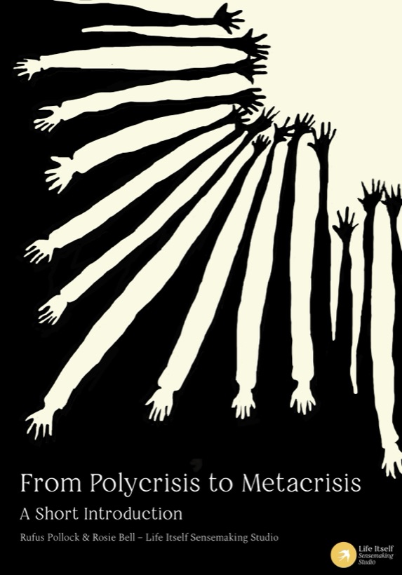 Cover of From Polycrisis to Metacrisis: white arms reaching up out of black, like a sunburst