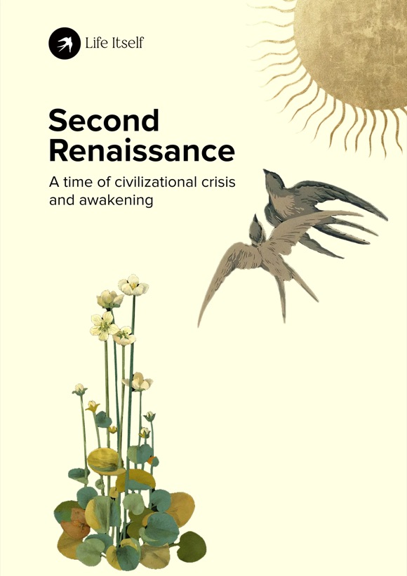 Cover of Second Renaissance: two swallows and a golden sun above a cluster of wild flowers