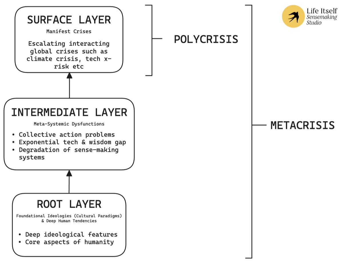 Diagram: a surface layer of manifest crises (the polycrisis) rests on an intermediate layer of failures in our systems and a root layer of foundational ideas; all three together are the metacrisis