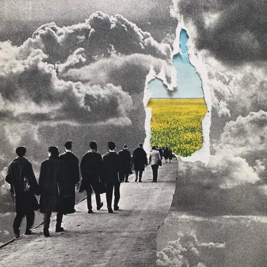 People walking along a road towards a field of yellow flowers, cut into a grey sky